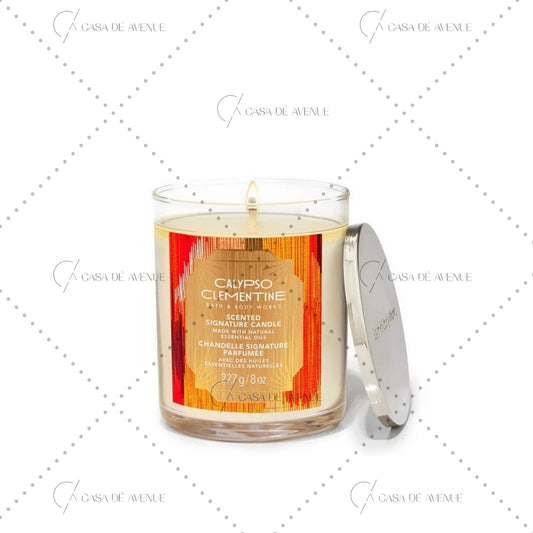 Bath and Body Works : Single Wick Candle: Calypso Clementine