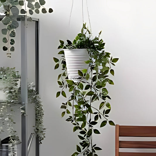 IKEA : CASHEWAPPLE : Hanging Planter