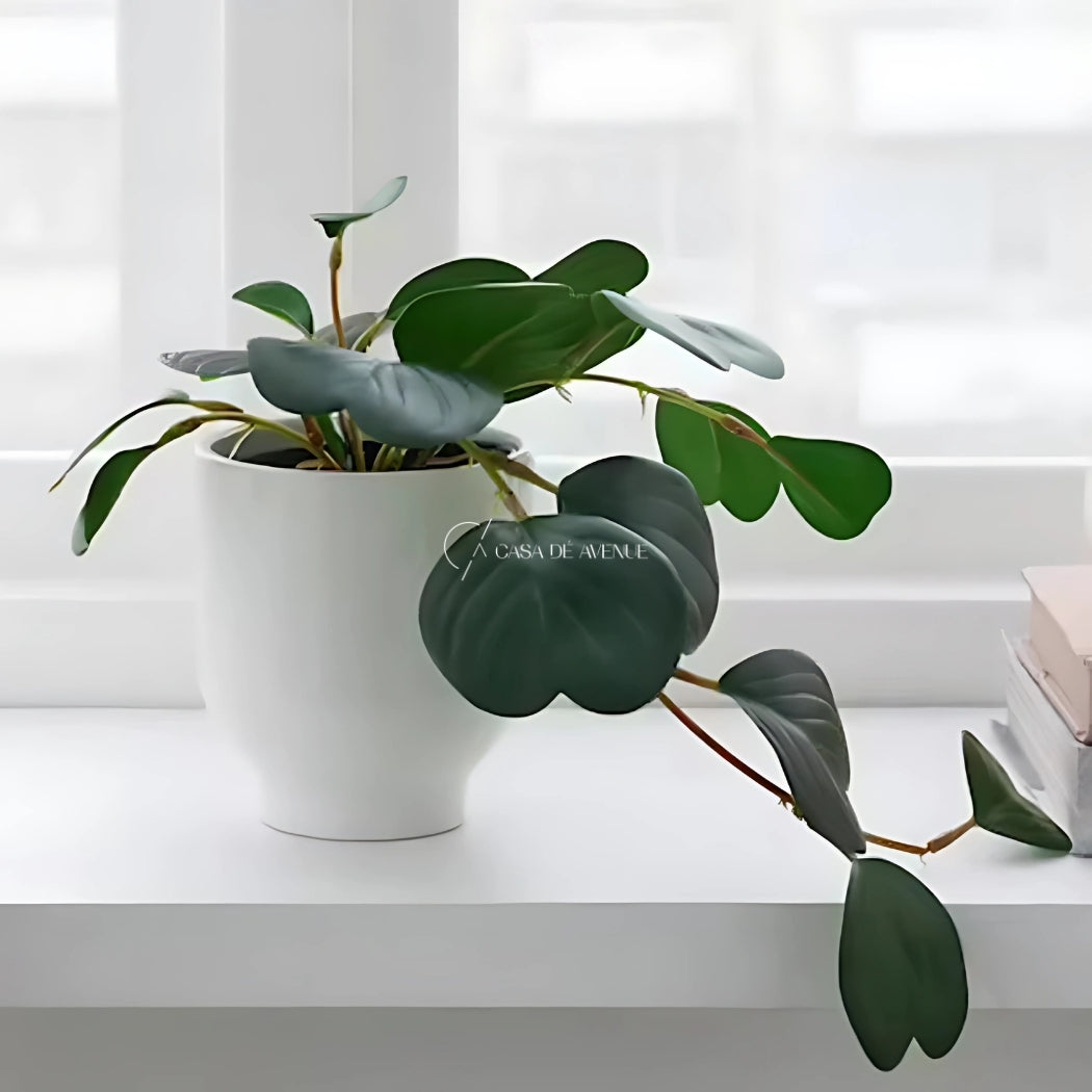 ikea hanging plant IKEA : FEJKA : Artifical Potted Hanging Plant
