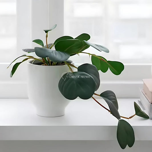 IKEA : FEJKA : Artifical Potted Hanging Plant - Peperomia
