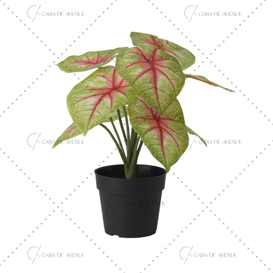 IKEA : FEJKA : Artifical Potted Plant - In/Outdoor Dasheen