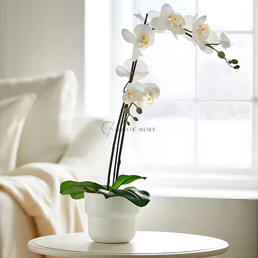 IKEA : FEJKA : Artificial Potted Plant : Orchid White