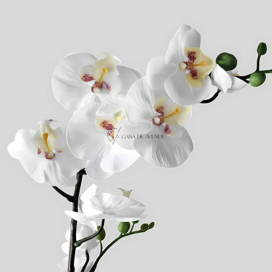 IKEA : FEJKA : Artificial Potted Plant : Orchid White