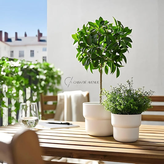 IKEA : FEJKA : Artificial Potted Plant , In/Outdoor Weeping Fig Stem