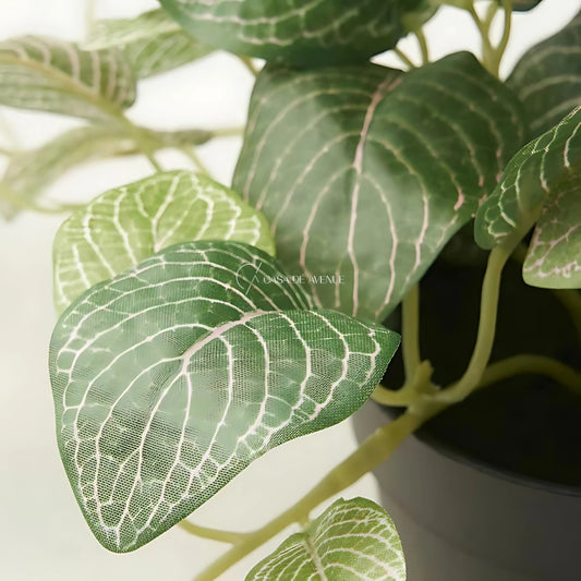 IKEA : FEJKA : Artificial Potted Plant Mosaic Hanging - Indoor/Outdoor