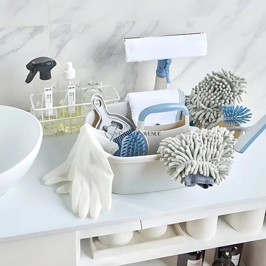 HomeCentre : Agila : Cleaning Mitt