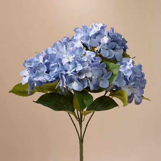 Hydrangea Small Bunch Plants
