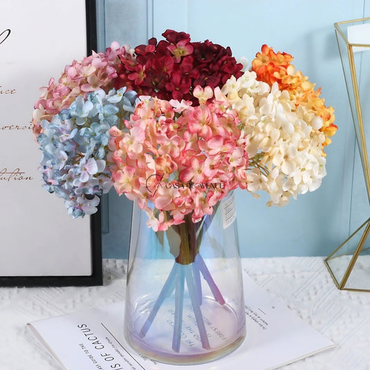 Hydrangea Small Bunch Plants