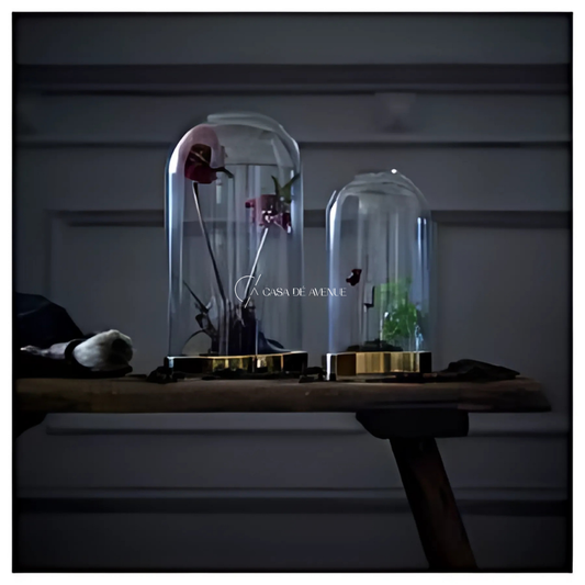 IKEA : BEGAVNING : Glass Dome With Base