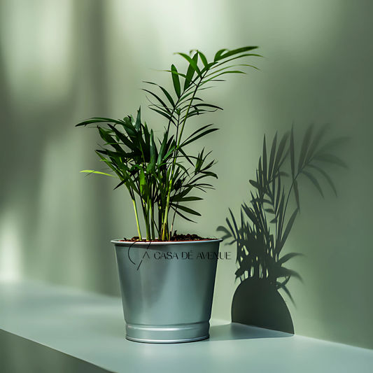 IKEA : BINTJE : Plant Pot