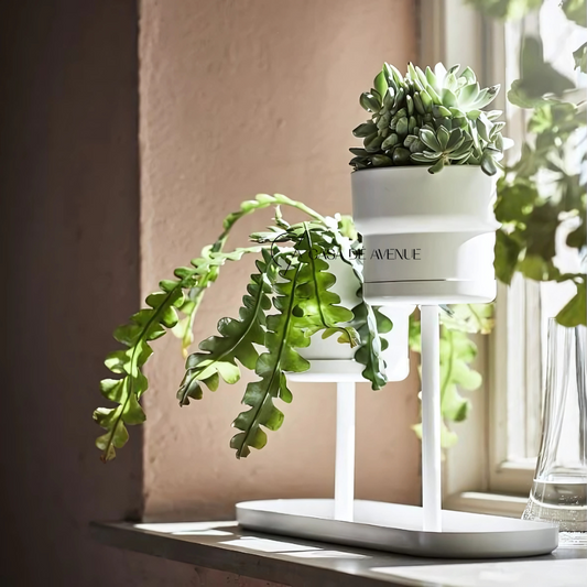 IKEA : CHILISTRAN : Plant Stand