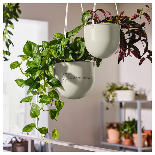 IKEA : DAKSJUS : Hanging Planter - Set of 2