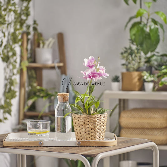 IKEA : FEJKA : Artificail Potted Plant - Noble Dendrobium