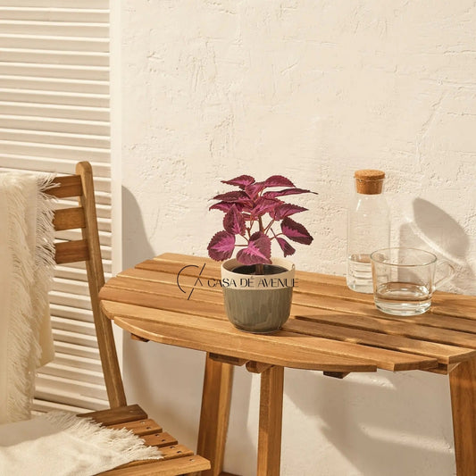 IKEA : FEJKA : Artificail Potted Plant - Painted Nettle
