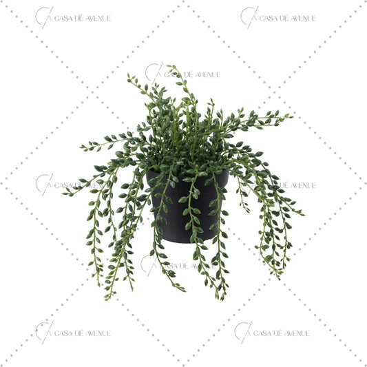 IKEA : FEJKA: Artificial Potted Plant - String of Beads