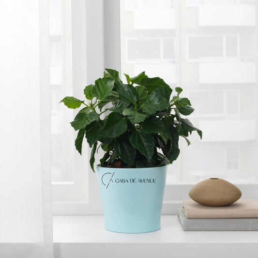 IKEA : PAPAJA : Plant Pot