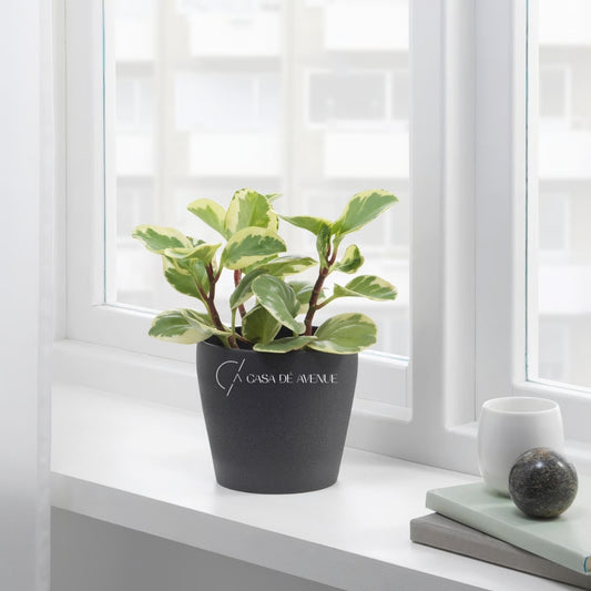 IKEA : PERSILLADE : Plant Pot