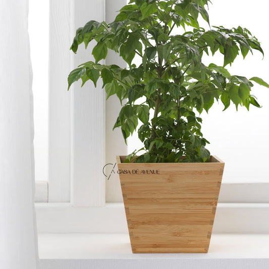 IKEA : VILDAPEL : Plant Pot Bamboo