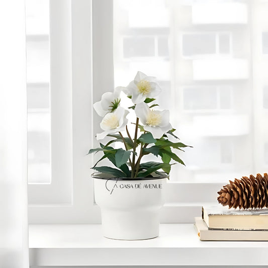 IKEA : VINTERFINT : Artificial Potted Plant - Christmas Rose