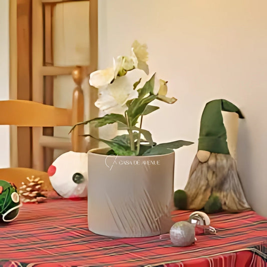 IKEA : VINTERFINT : Artificial Potted Plant - Christmas Rose