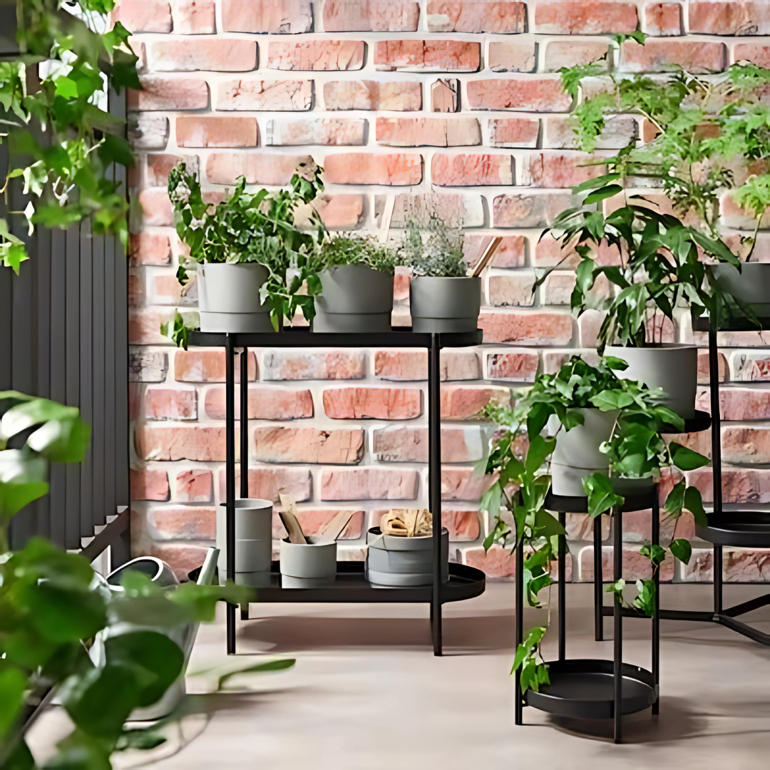 Pots & Planters