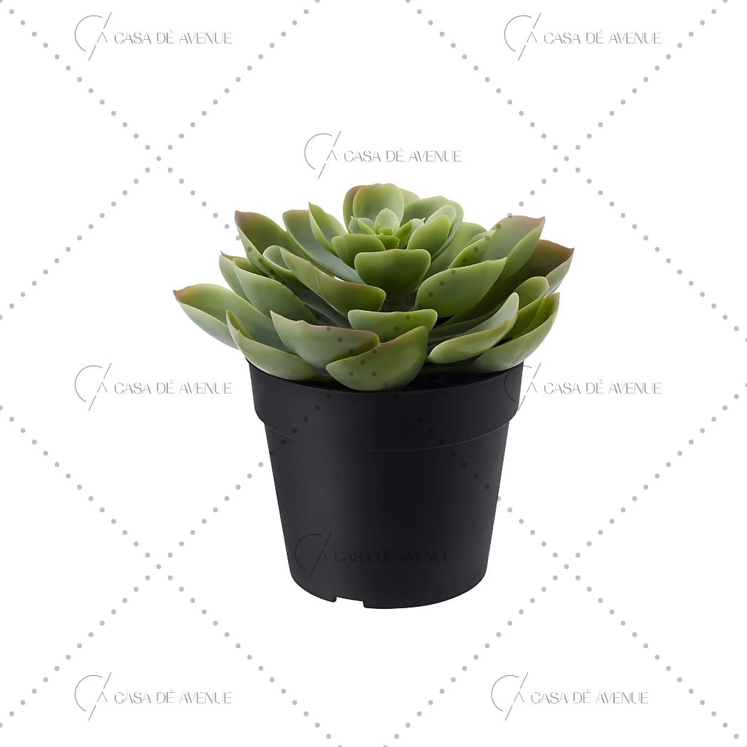 ikea succulent pots IKEA : FEJKA : Artifical Succulent Plant – Casa De Avenue