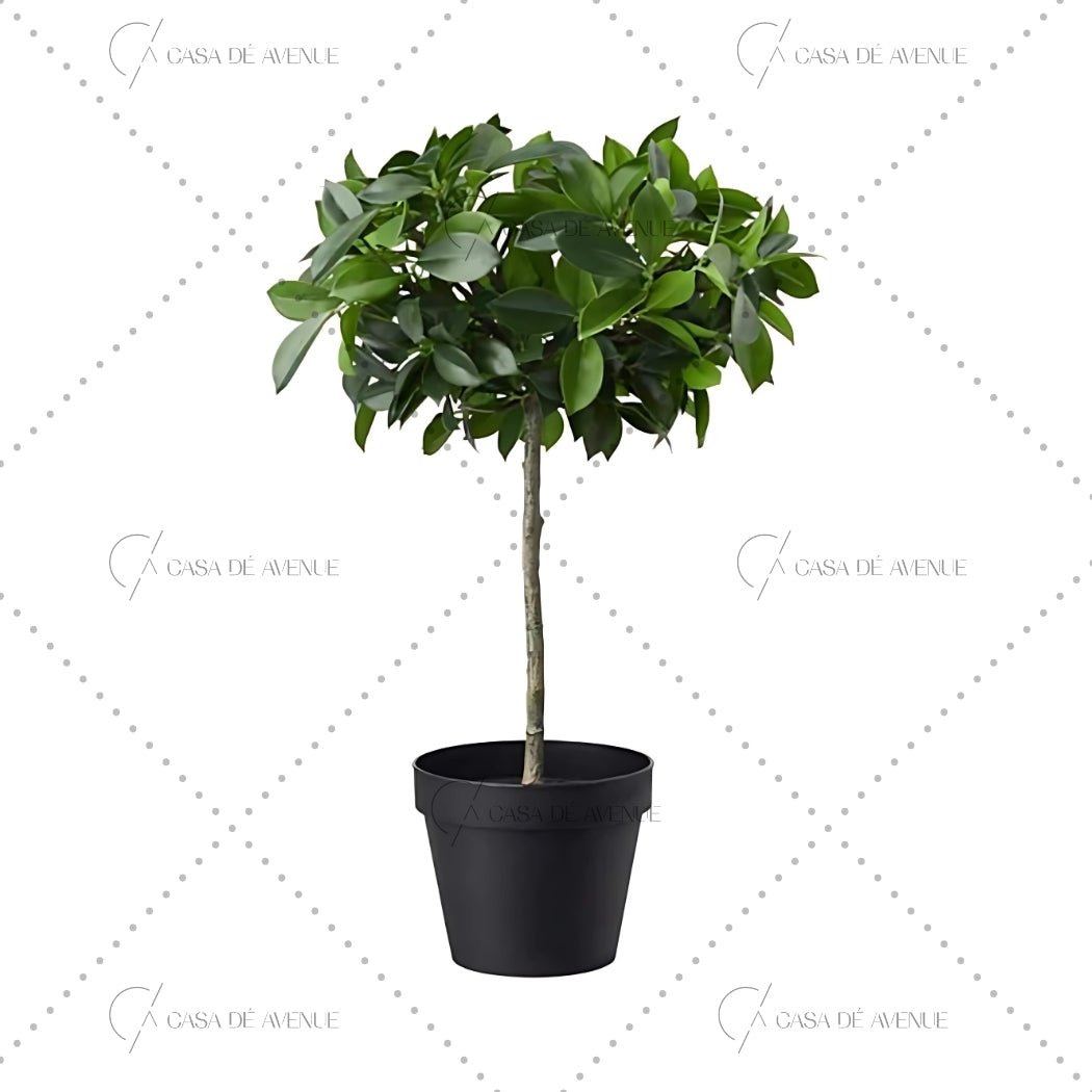 fake potted plants for outdoors IKEA : FEJKA : Artificial Potted Plant , In/Outdoor Weeping Fig Stem – Casa De Avenue