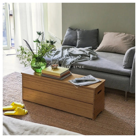 IKEA : DAJLIEN : Bench With Storage