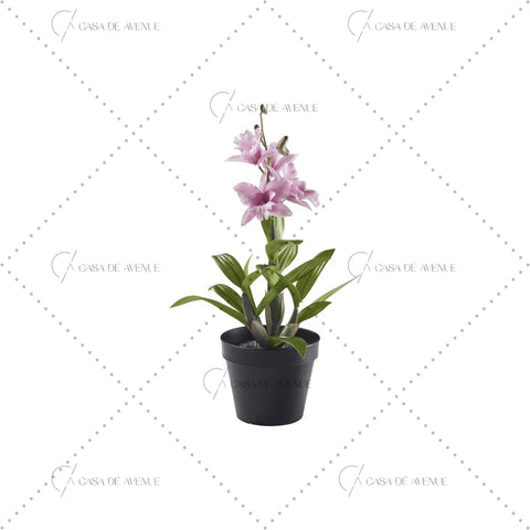IKEA : FEJKA : Artificail Potted Plant - Noble Dendrobium