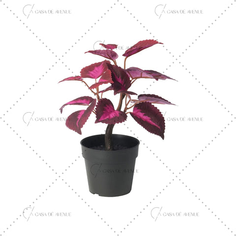 IKEA : FEJKA : Artificail Potted Plant - Painted Nettle