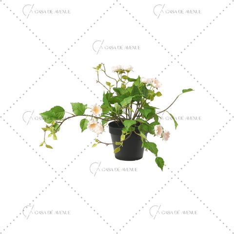 IKEA : FEJKA : Artificail Potted Plant - Rose