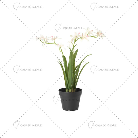IKEA : FEJKA : Artificial Potted Plant - Orchid