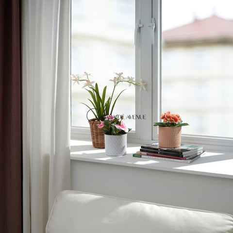 IKEA : FEJKA : Artificial Potted Plant - Orchid