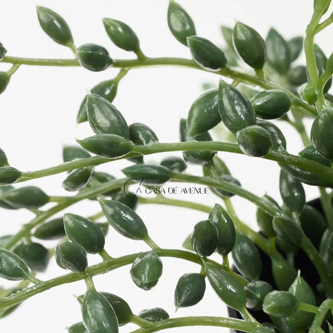 IKEA : FEJKA: Artificial Potted Plant - String of Beads