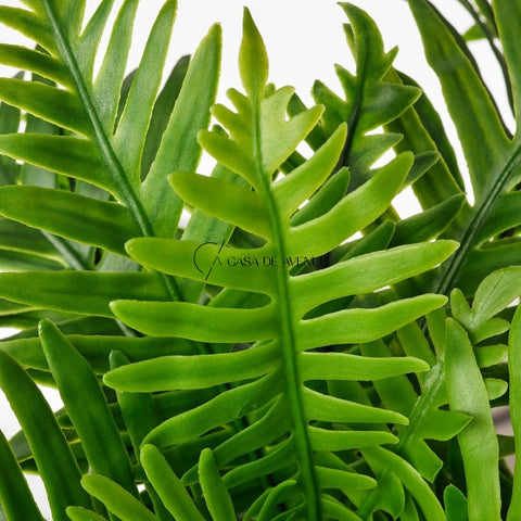 IKEA : FEJKA : Artificial Potted Plant - Whitley Giant