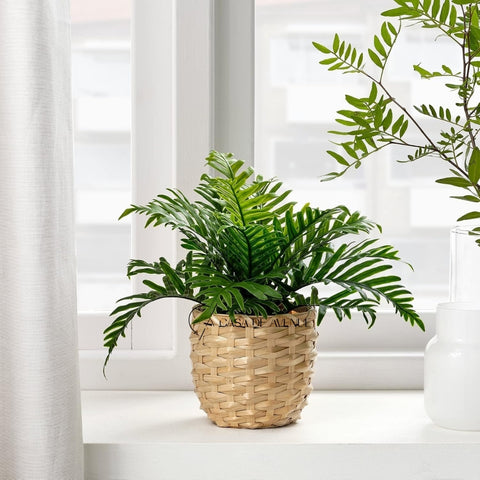 IKEA : FEJKA : Artificial Potted Plant - Whitley Giant