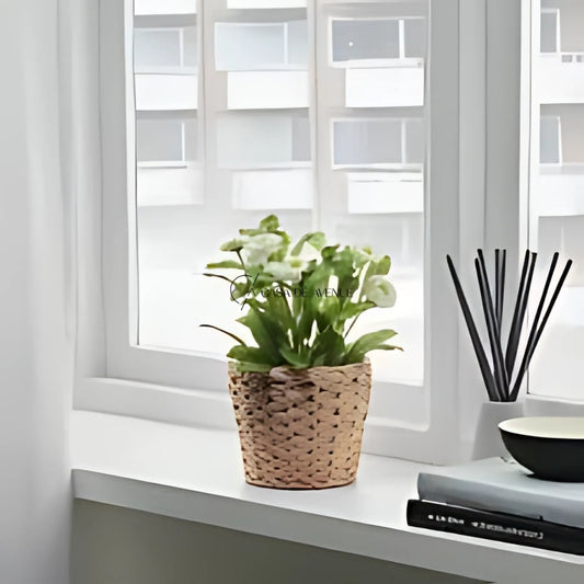 IKEA : FRIDFULL : Plant Pot : Water Hyacinth