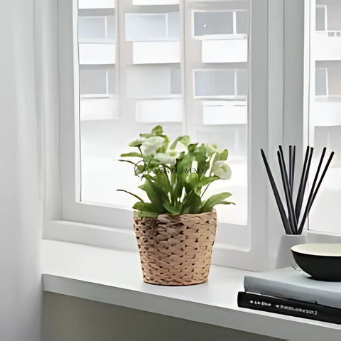 IKEA : FRIDFULL : Plant Pot : Water Hyacinth