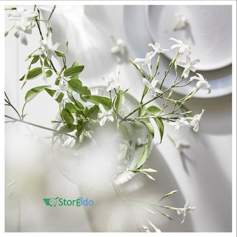 IKEA : LUGNARE : Scented Candle in Glass- Jasmine