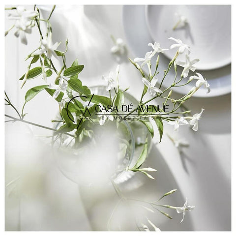 IKEA : LUGNARE : Scented Candle in Glass- Jasmine